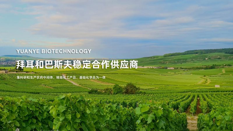 细胞培养试剂规格参数注意事项