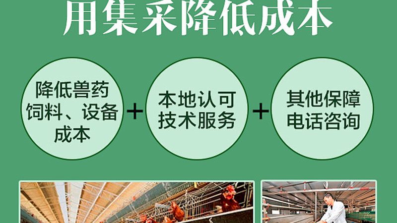 CDMO公司排名标准有哪些