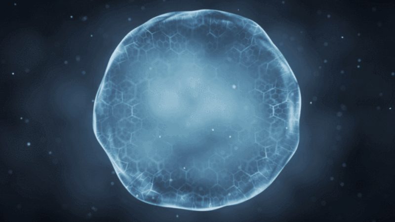 细胞工厂参数解析：北京厂家如何满足生物制药需求**