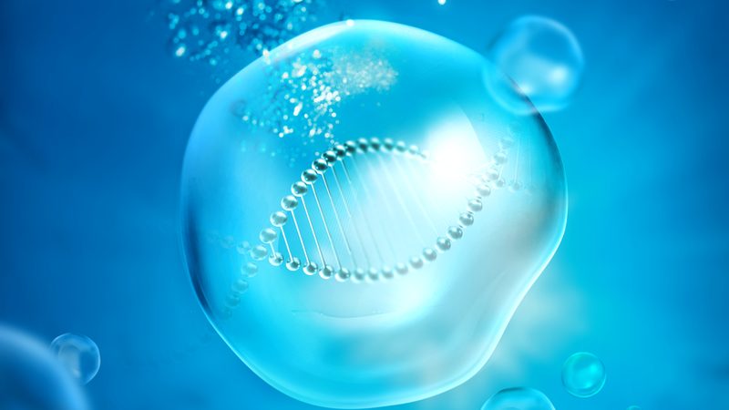 揭秘上海生物抗体生产厂家：如何选择与报价**
