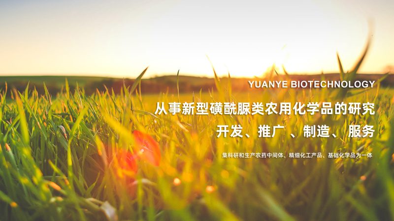 引物合成最小长度是多少