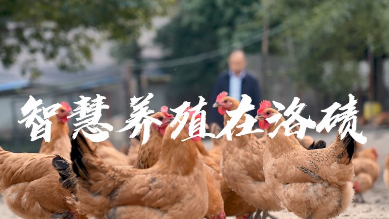 生物医药外包质量标准协议：构建安全可靠的研发桥梁