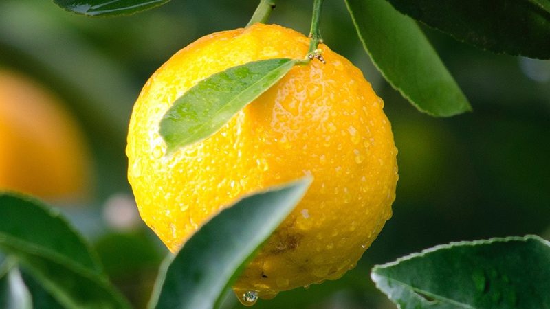 济南医药信息咨询有限公司