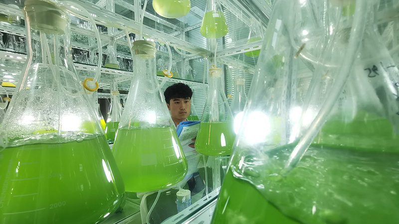 原代细胞培养：揭开细胞培养操作规范的神秘面纱**
